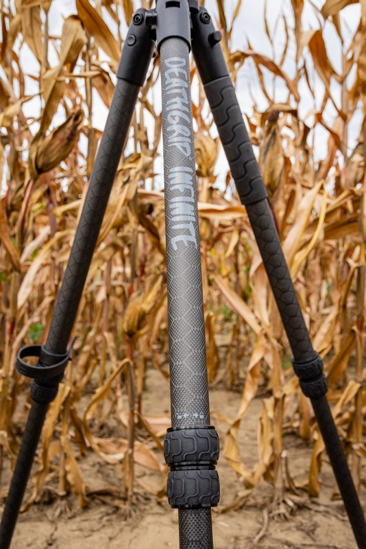 BOG-allvany-010-20231004