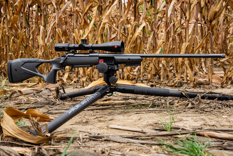 BOG-allvany-016-20231004