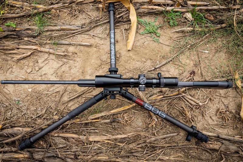 BOG-allvany-020-20231004