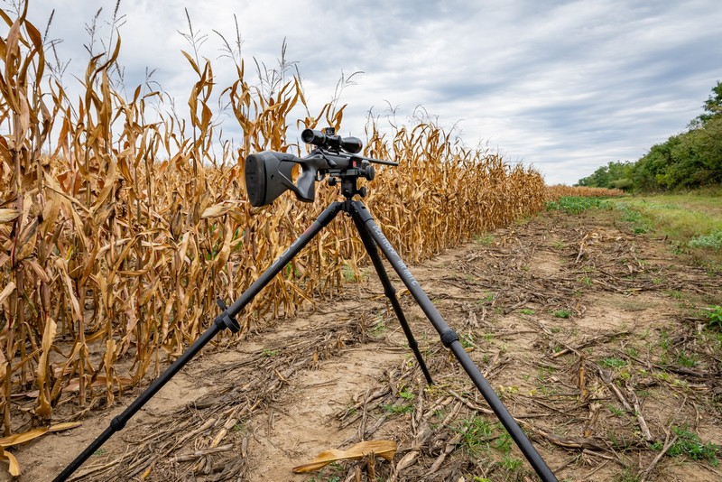 BOG-allvany-027-20231004