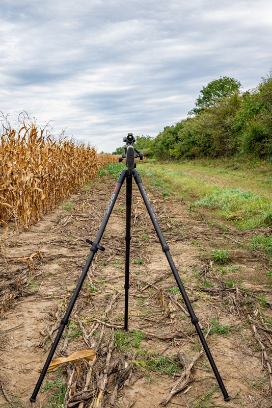 BOG-allvany-029-20231004