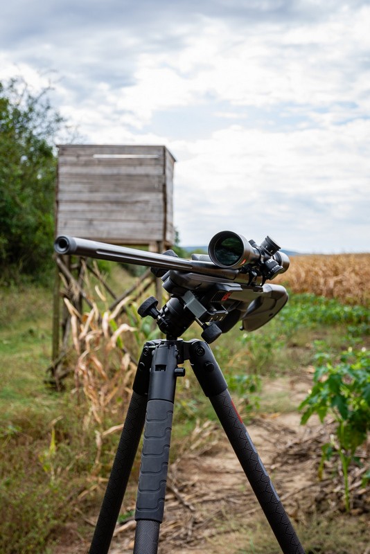 BOG-allvany-034-20231004