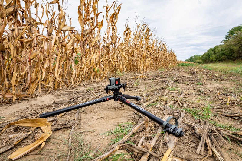 BOG-allvany-057-20231004