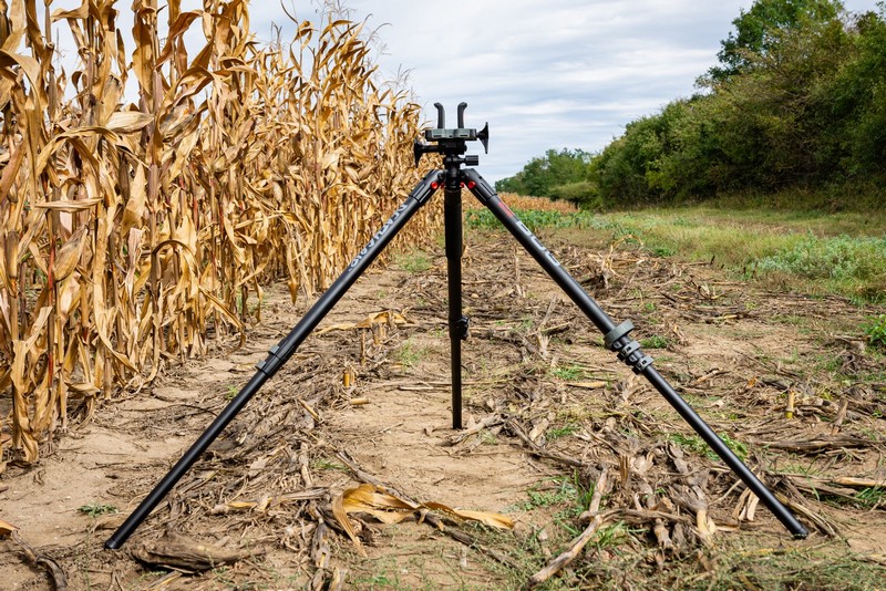 BOG-allvany-061-20231004