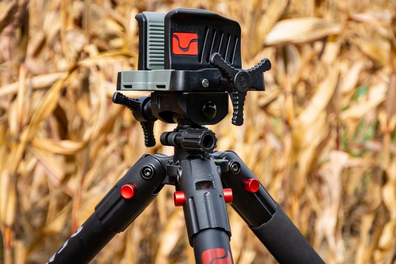 BOG-allvany-063-20231004