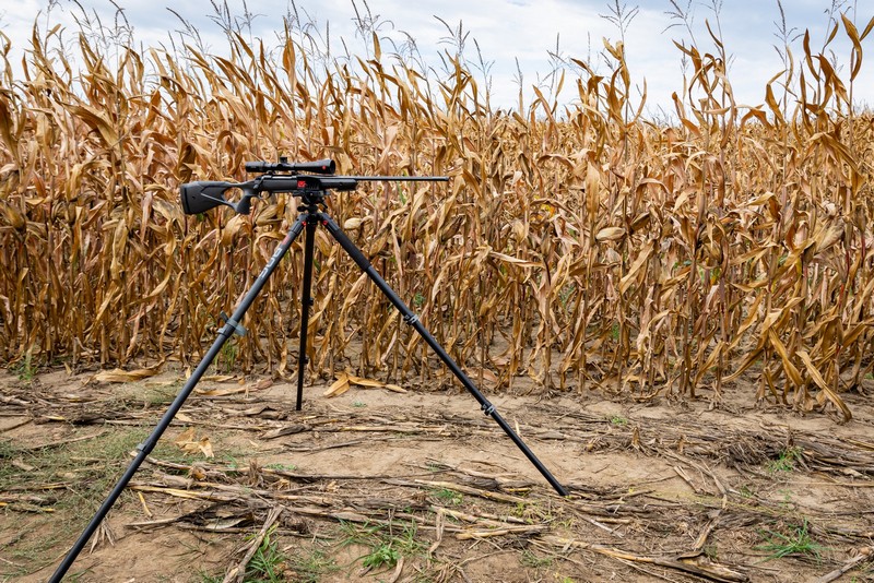 BOG-allvany-073-20231004