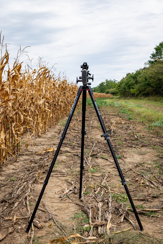 BOG-allvany-075-20231004