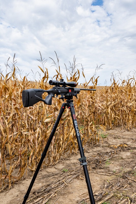 BOG-allvany-077-20231004