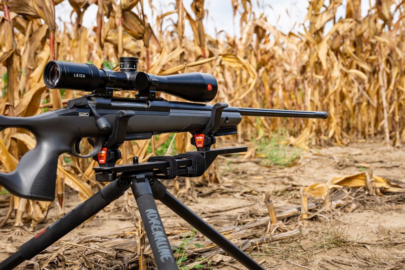 BOG-allvany-104-20231004