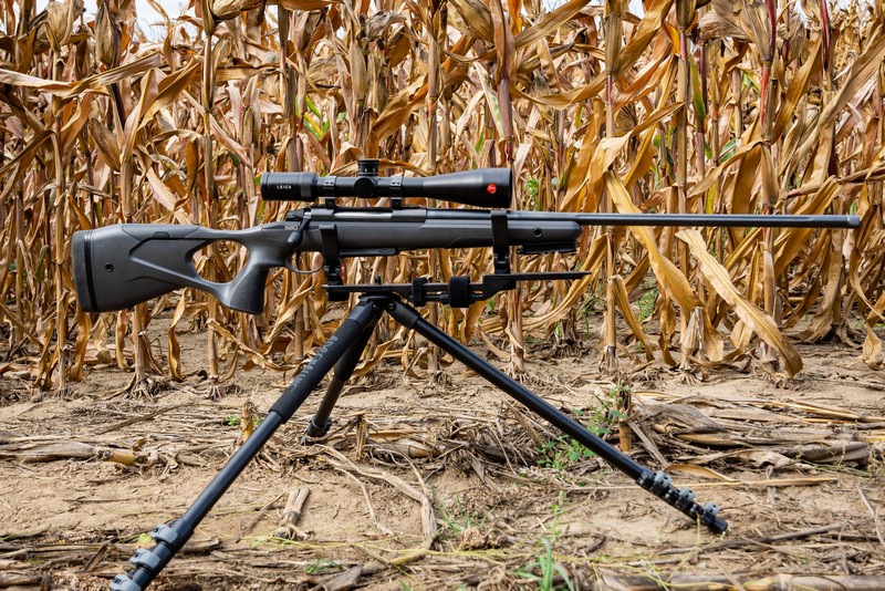 BOG-allvany-105-20231004