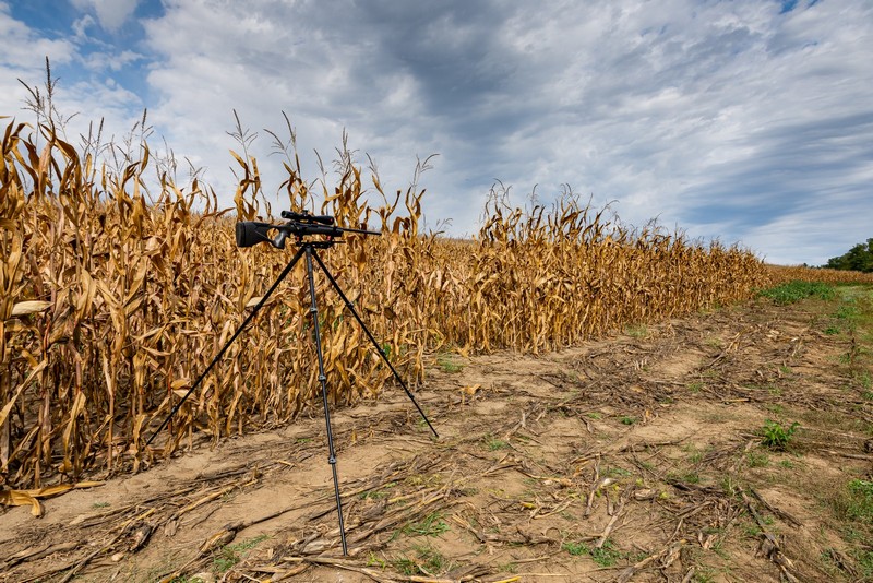 BOG-allvany-107-20231004