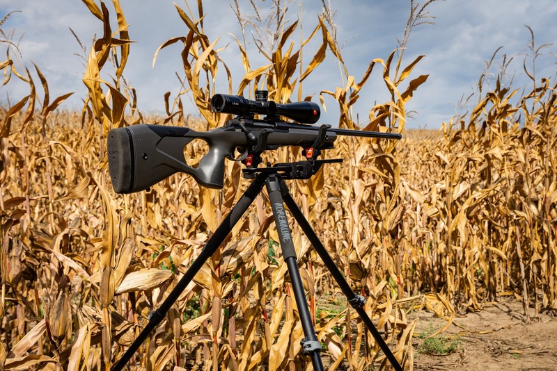 BOG-allvany-108-20231004