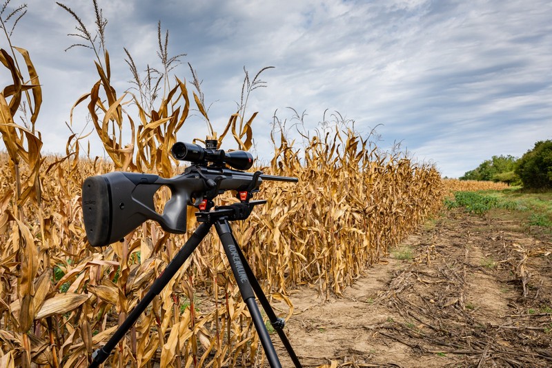 BOG-allvany-109-20231004